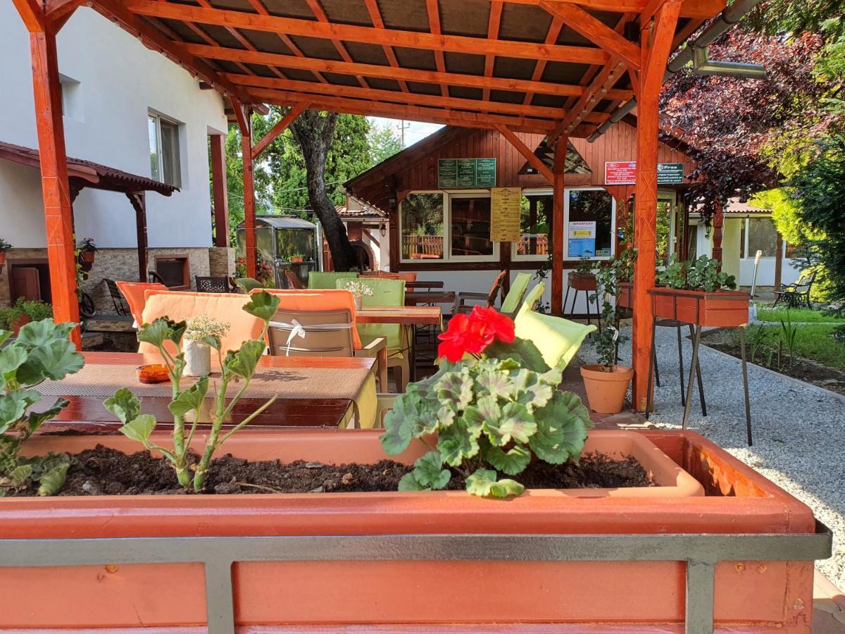 Cameră dublă cu patio