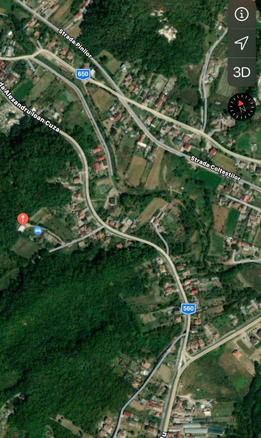 Vilă