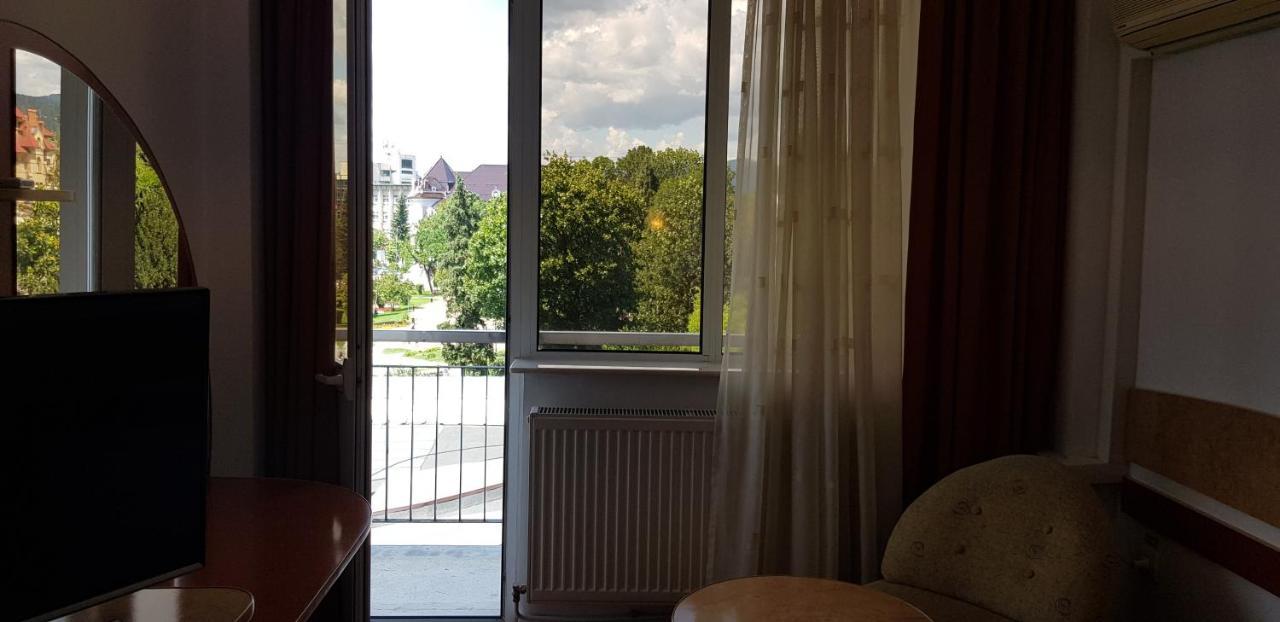 Cameră single standard cu vedere la munte