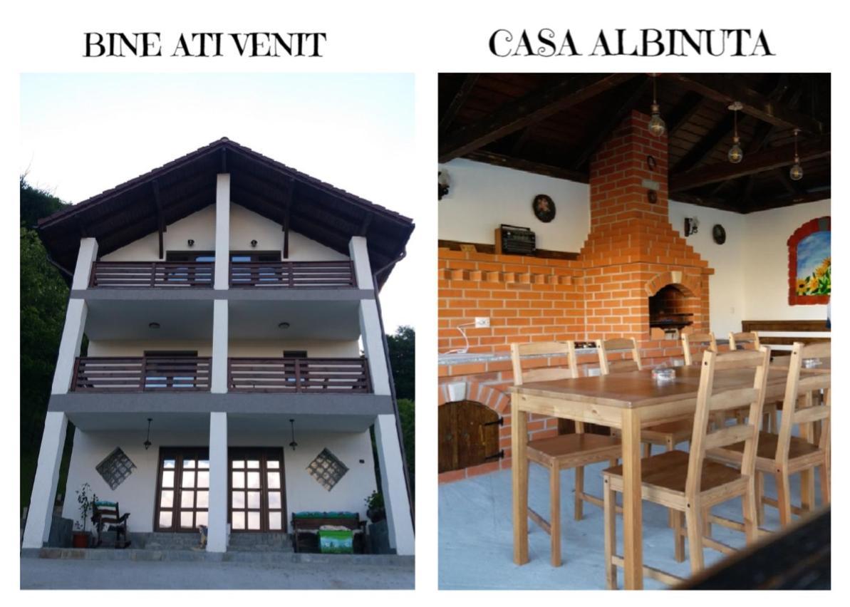 Cameră dublă mare