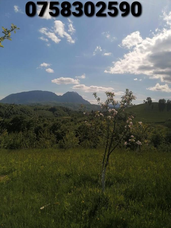 Casă cu 7 dormitoare