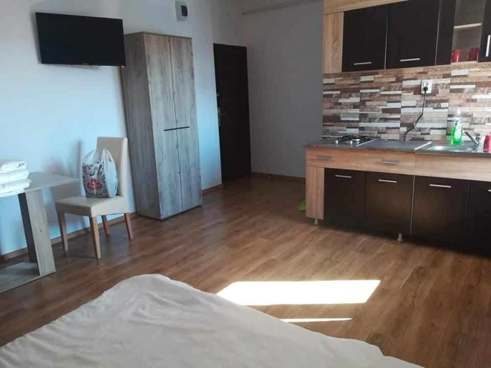 Studio cu vedere la grădină
