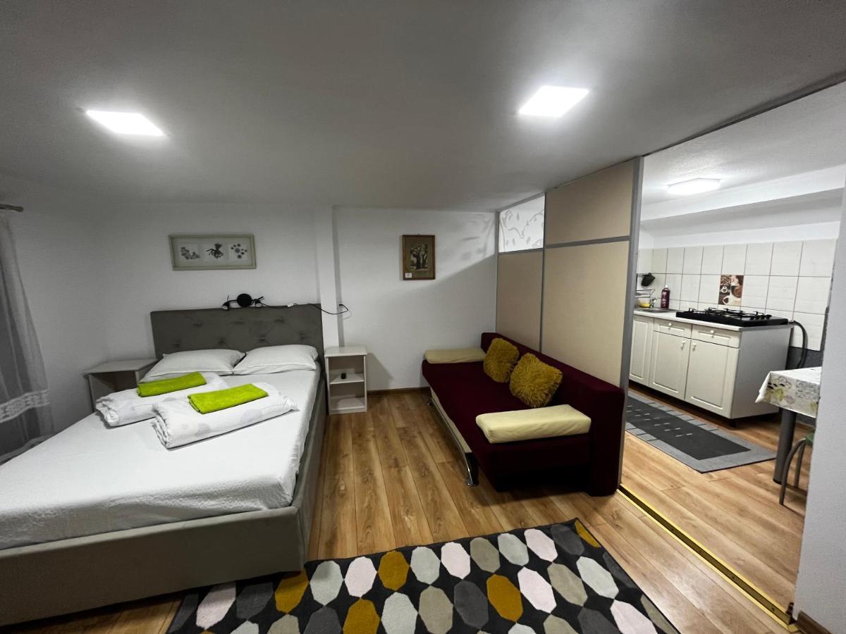 Apartament cu 1 dormitor