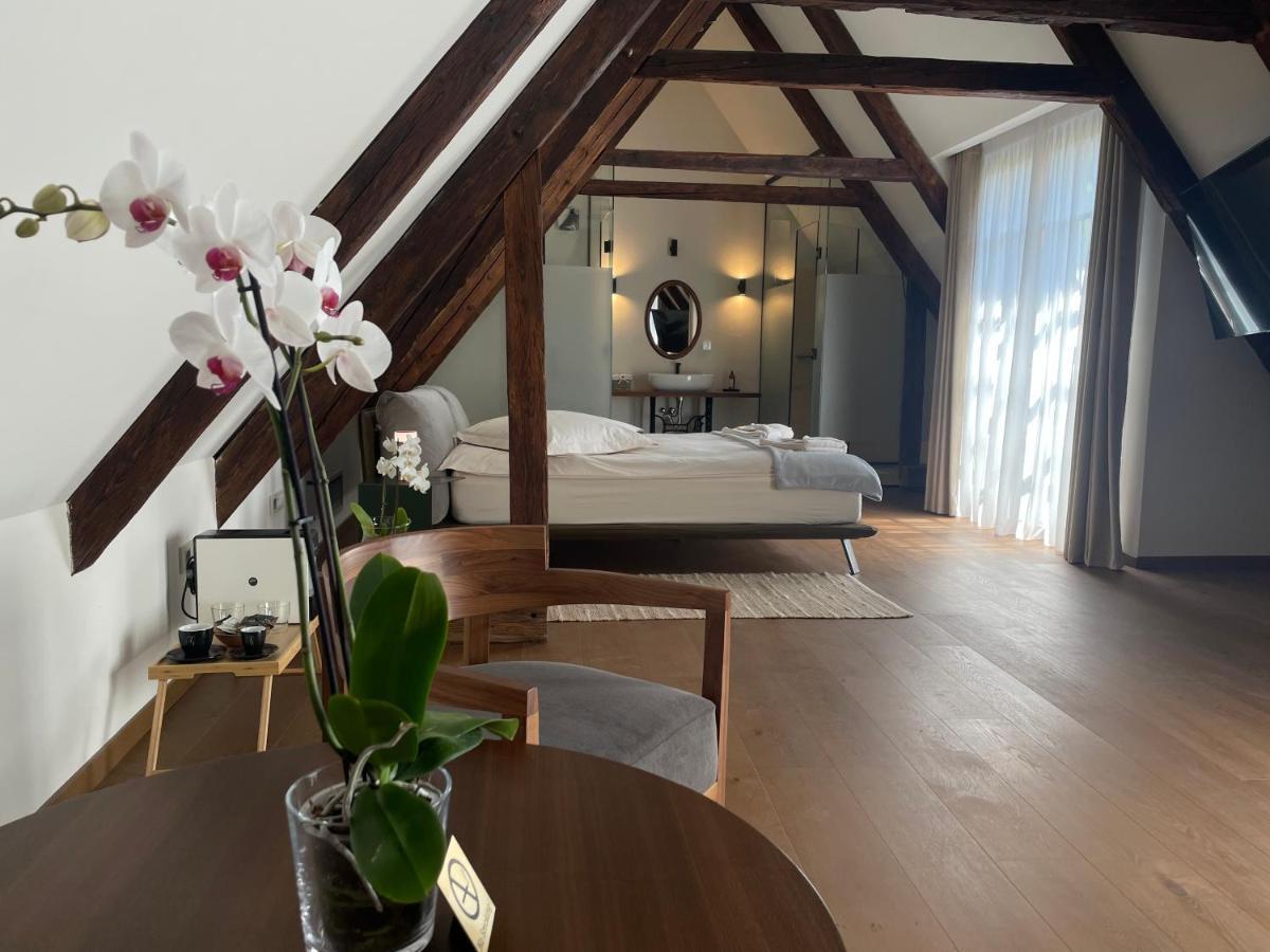 Cozy Attic Suite with shower & mountain view Adults Only