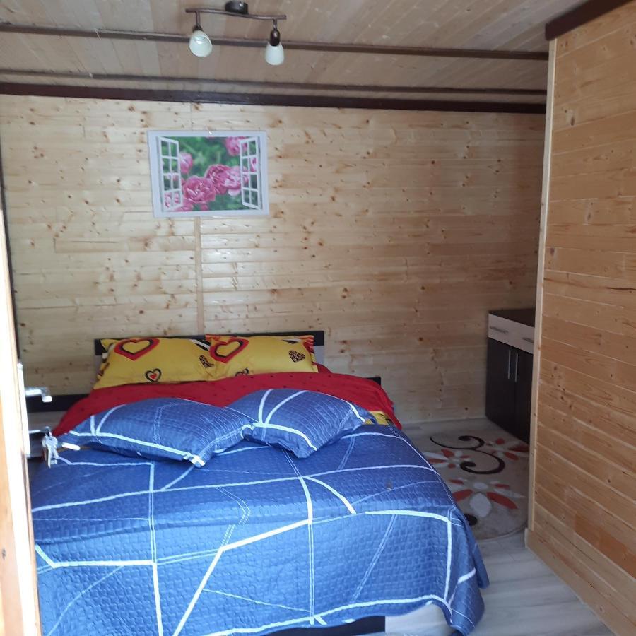 Cameră Deluxe (1 adult + 2 copii)