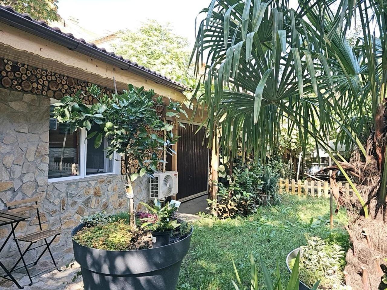 Appartement - Rez-de-Chaussée