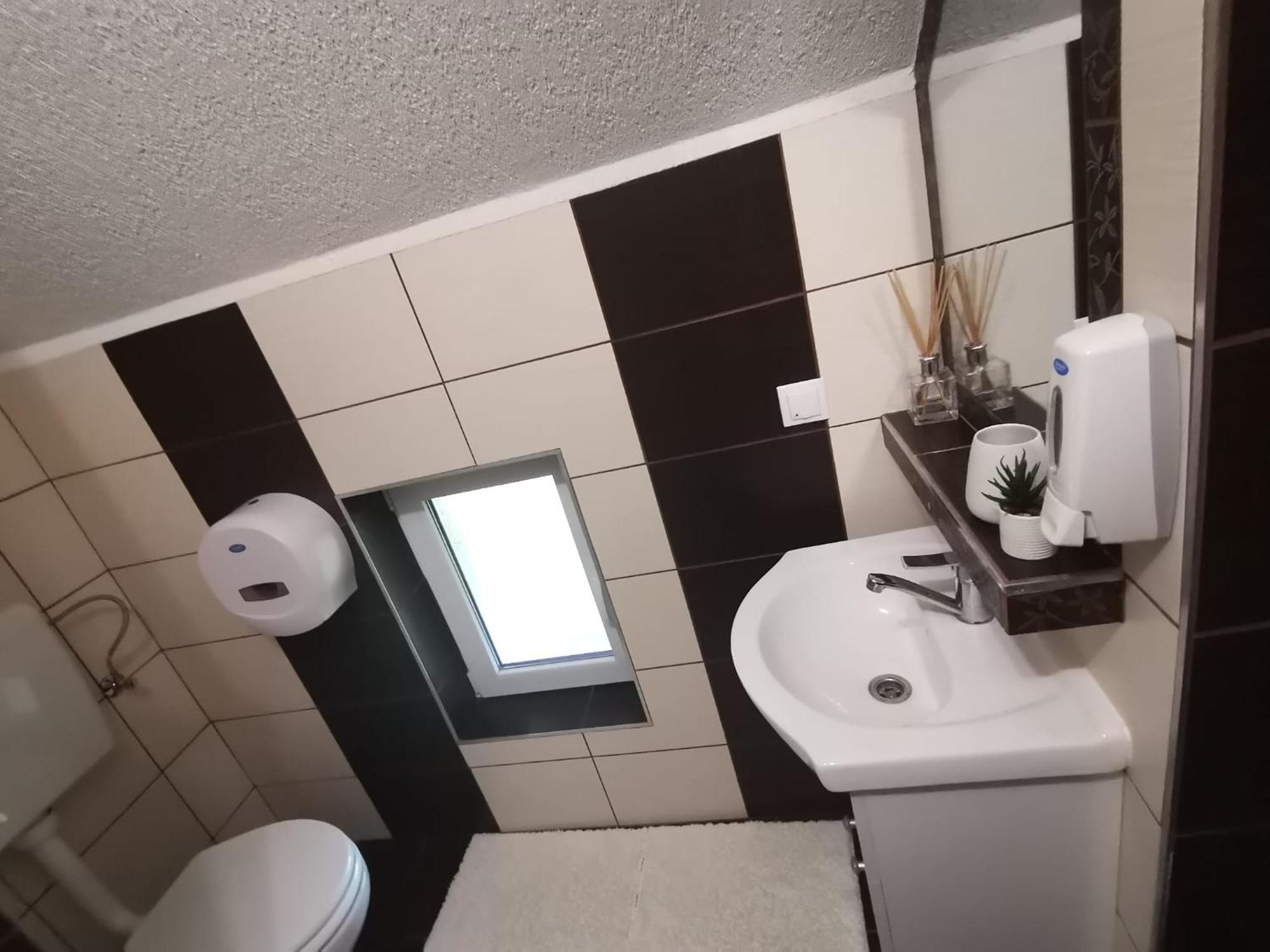 Studio cu terasă