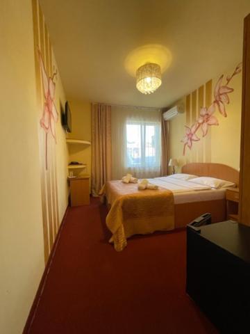 Standard Double Room,1566970052:JPEG