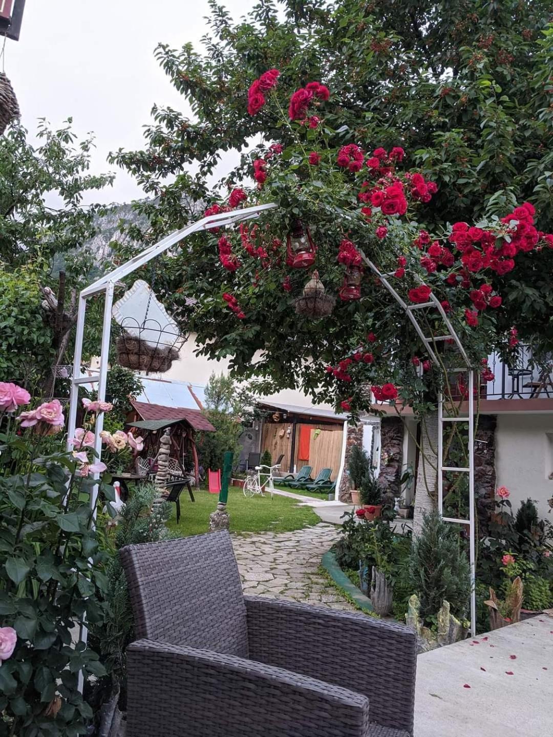 Apartament - parter