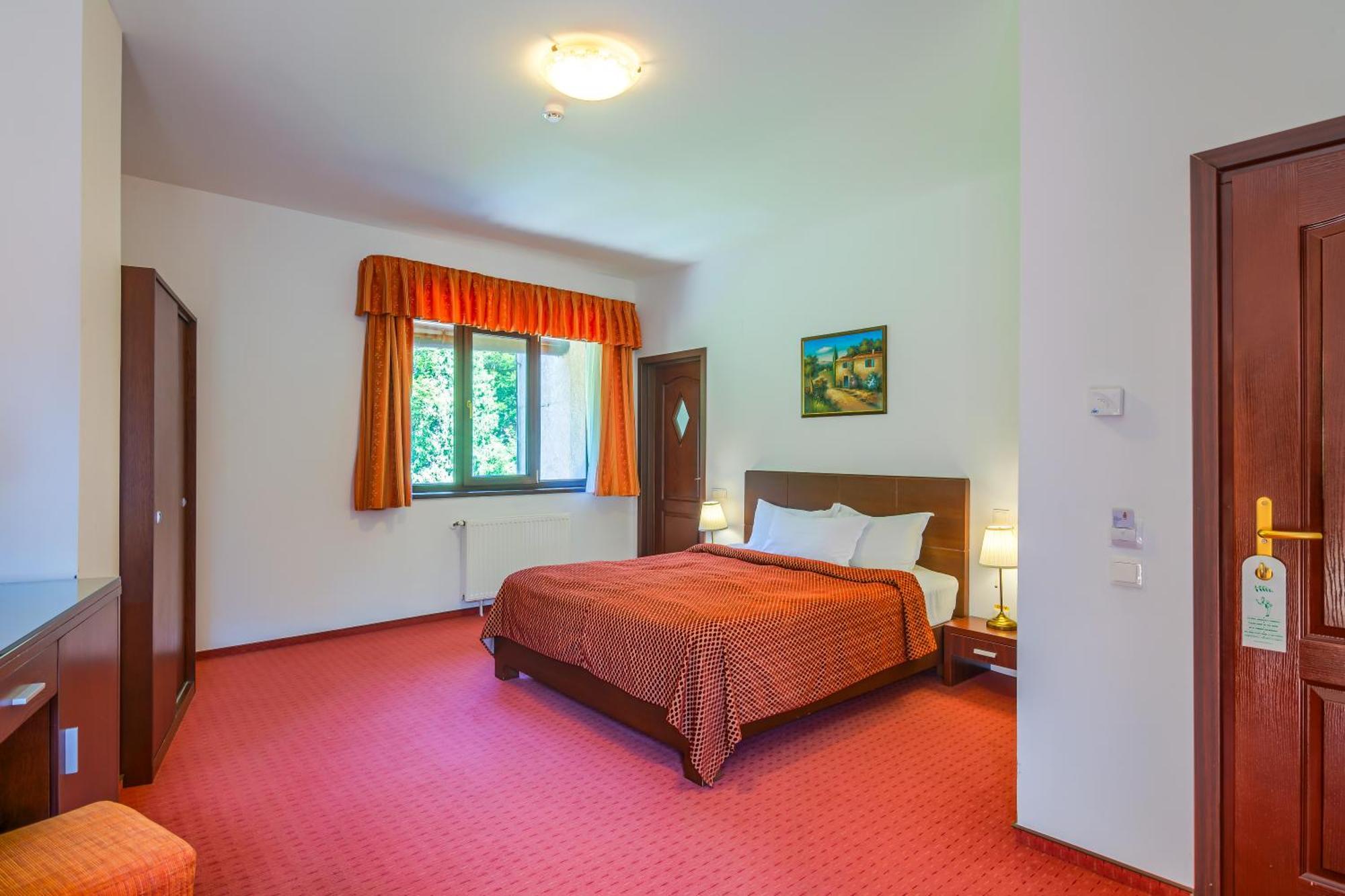 Superior Double Room with Forest View