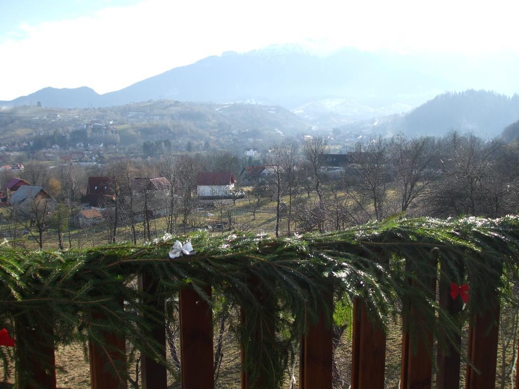 Suită cu 1 dormitor și canapea extensibilă