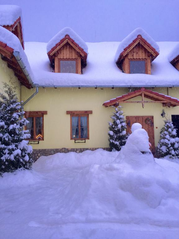 Casă cu 7 dormitoare