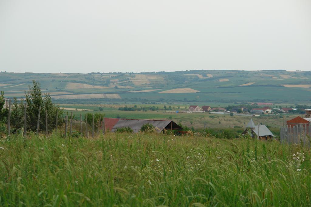 Vilă