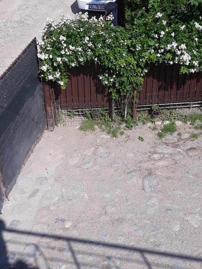 Cameră dublă standard cu baie comună