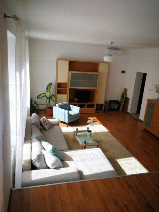 King Studio with Sofa Bed