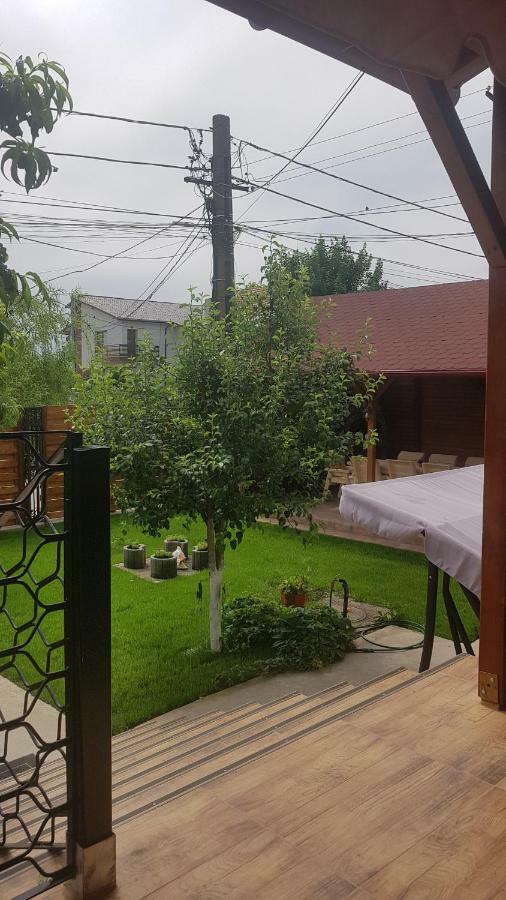 Cameră King
