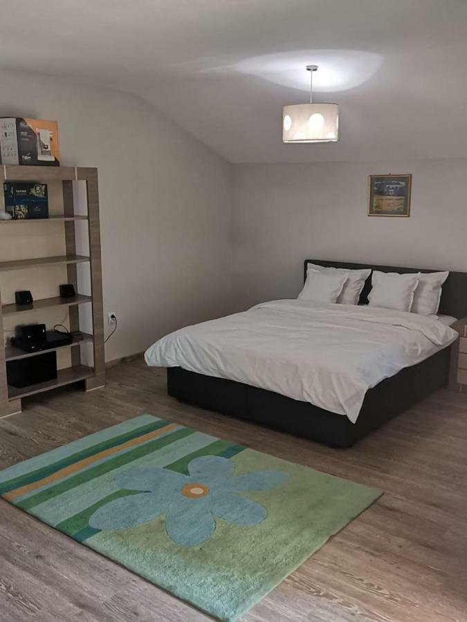 Studio cu balcon