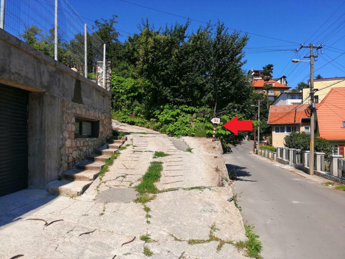 Studio cu vedere la grădină