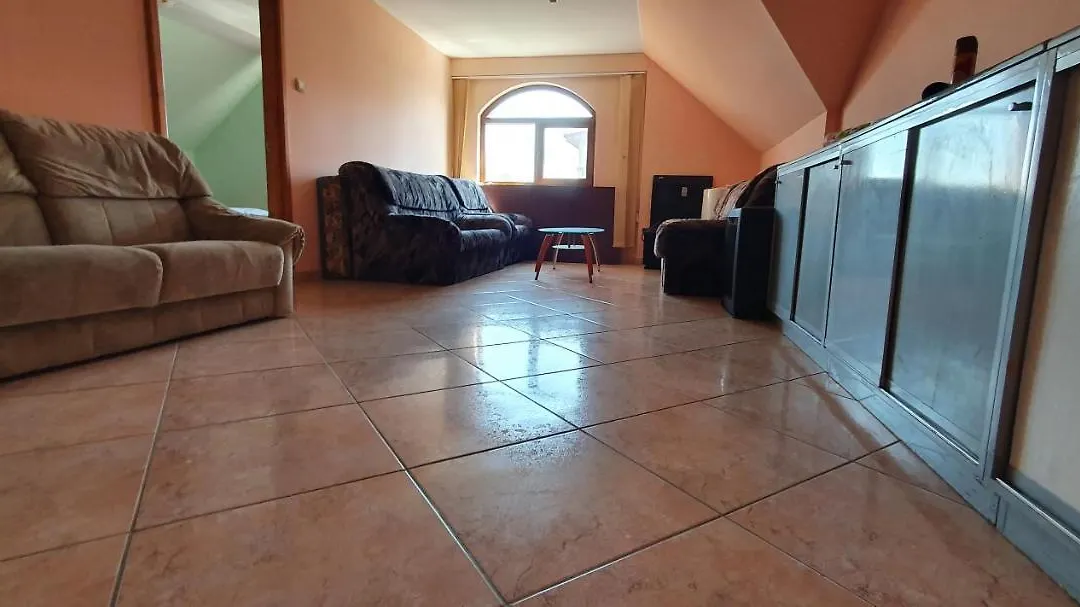 Vila Vasile-1