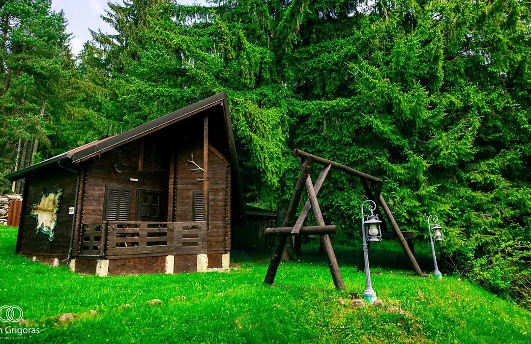 Pension Vanatorul-1