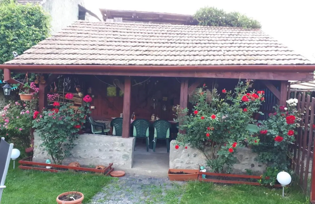 Pension Ela-1