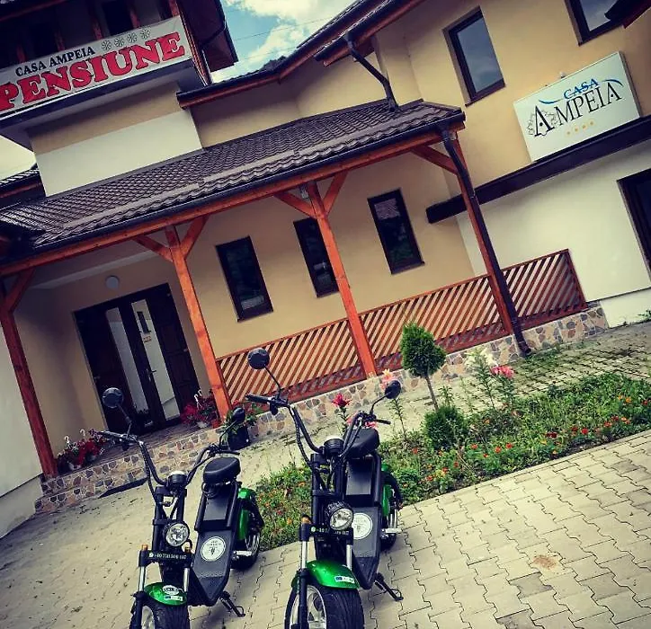 Pensiune Casa Ampeia-1