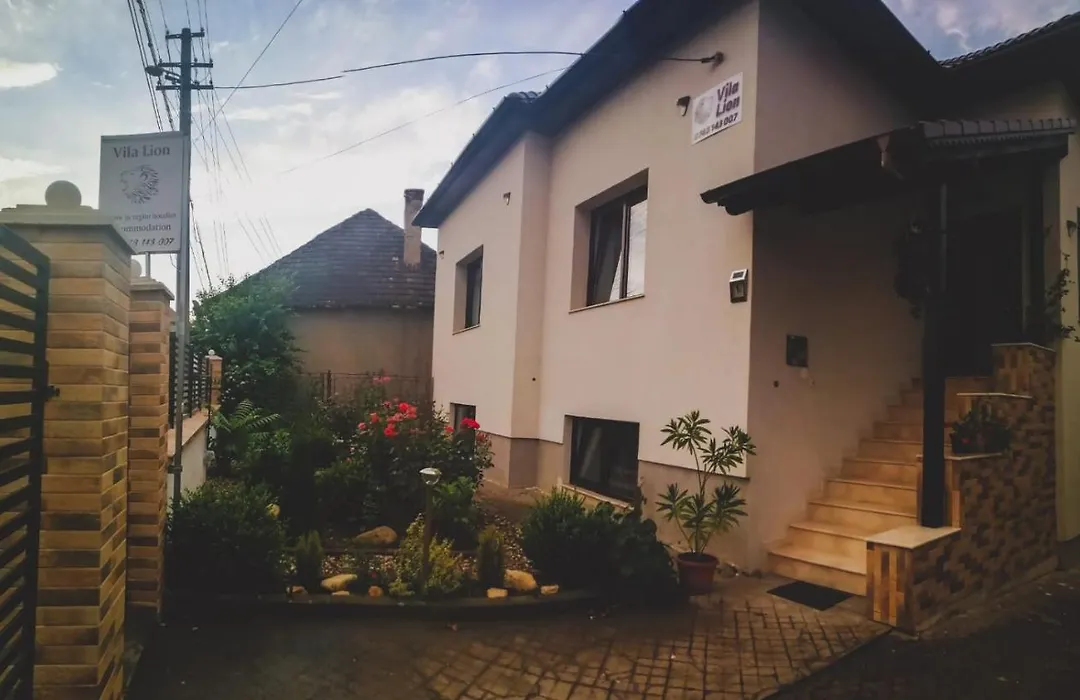 Vila Lion-1