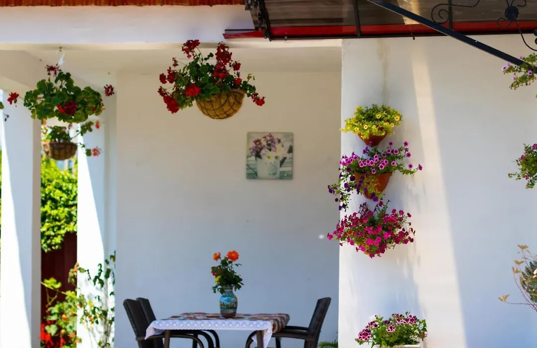 Casa Marya-1
