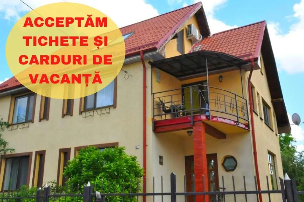 Carpathian Villa Sibiu-1
