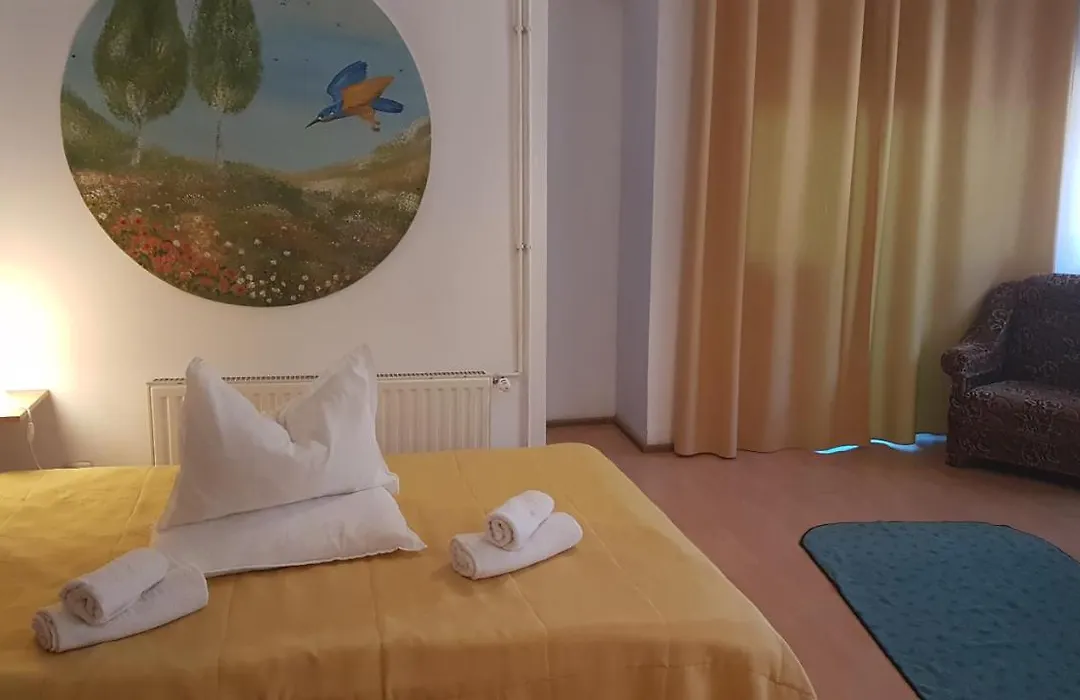 Pensiunea Casa Noastra-1