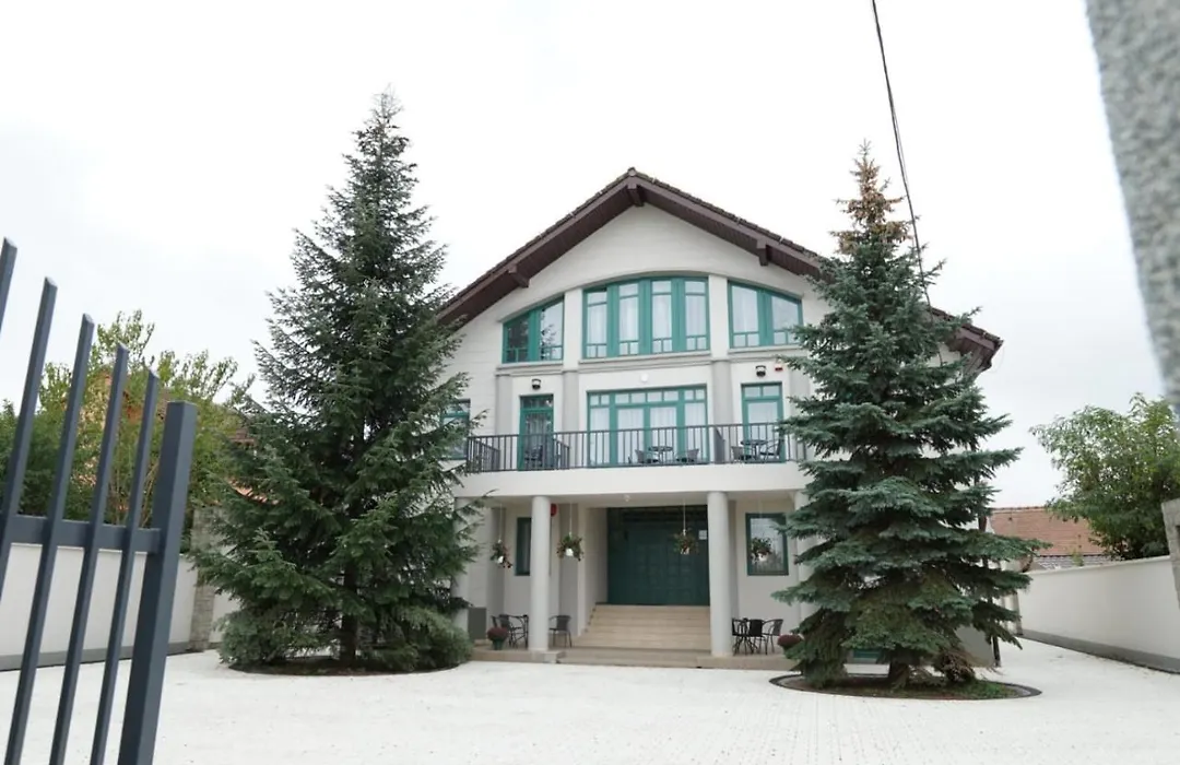 Green Villa Sibiu-1
