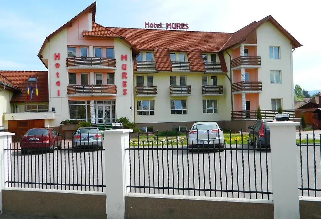 Hotel Mures-1