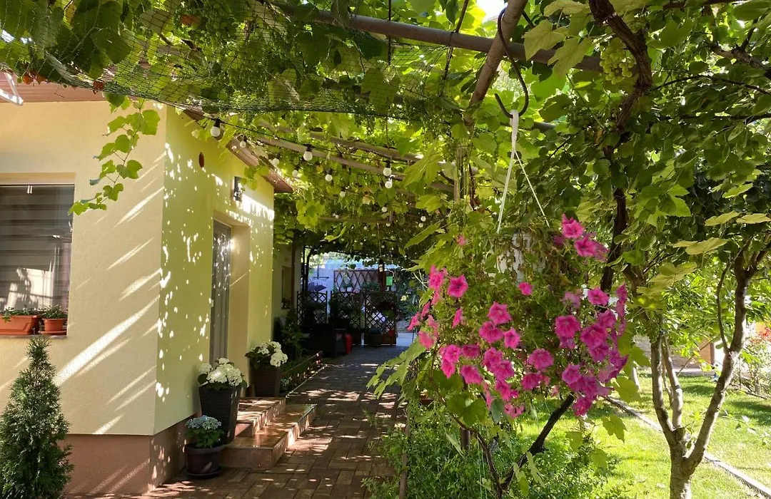 Casa Lui Mamaia-1