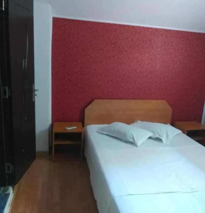 Vila Ana Lăcrămioara Concept-1