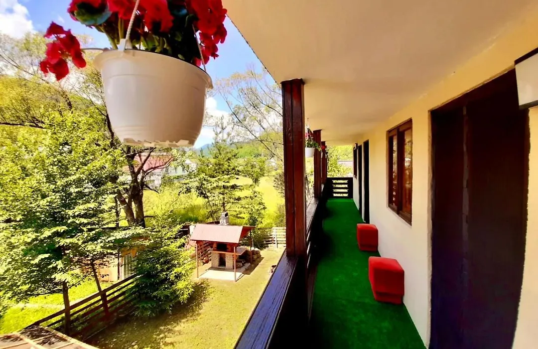 Vila Pelin-1