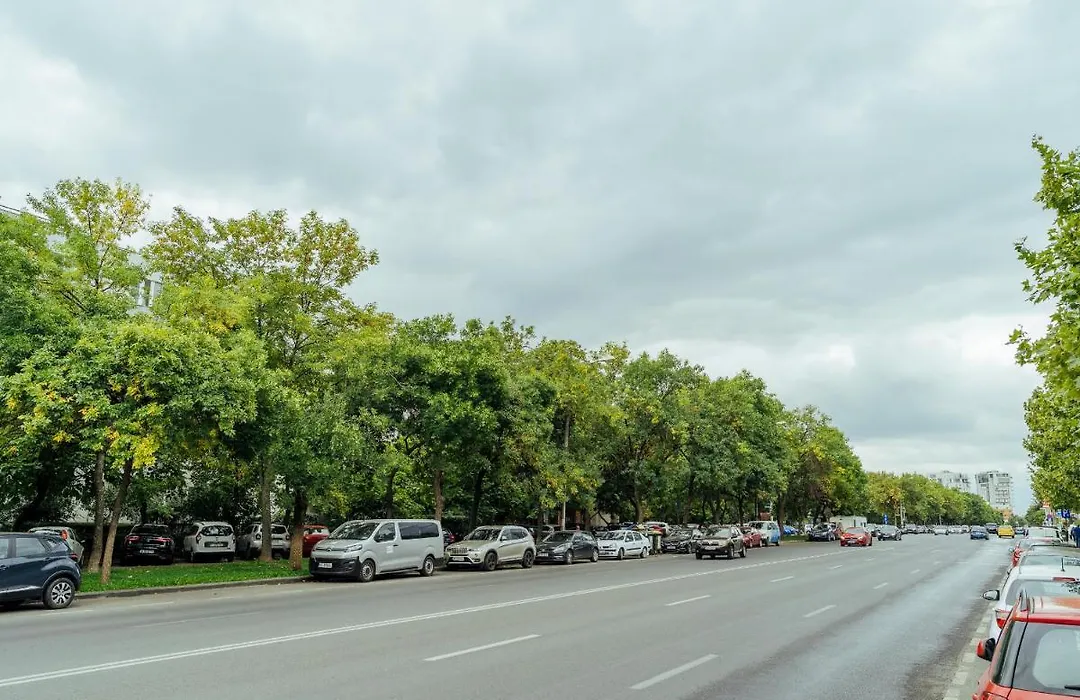 Herastrau Arancia Studio - Business District-1