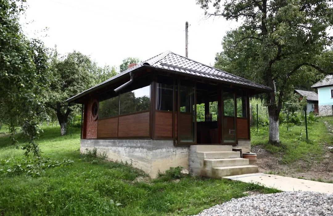 Hățașul Bunicului-1
