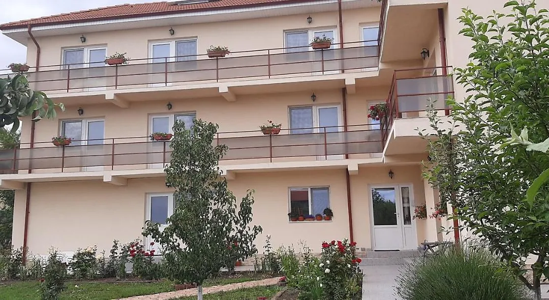 TIMONA- camere de închiriat-1