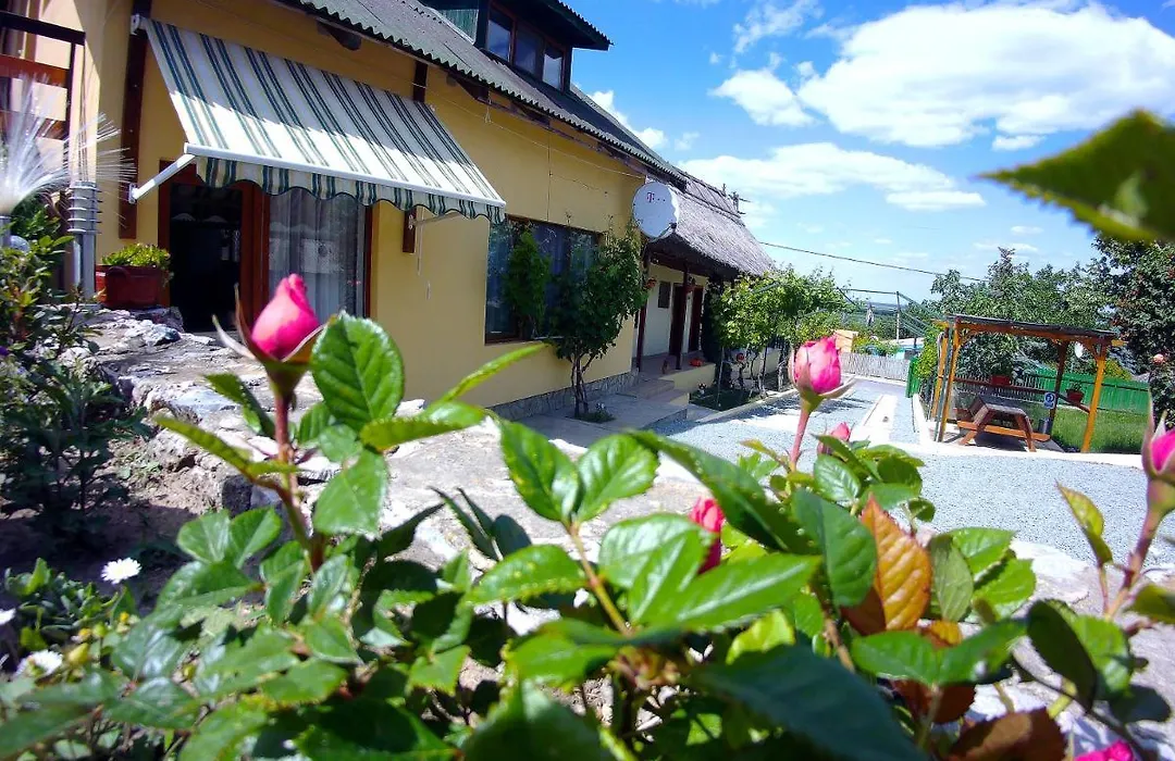 Casa Adi Si Maria-1