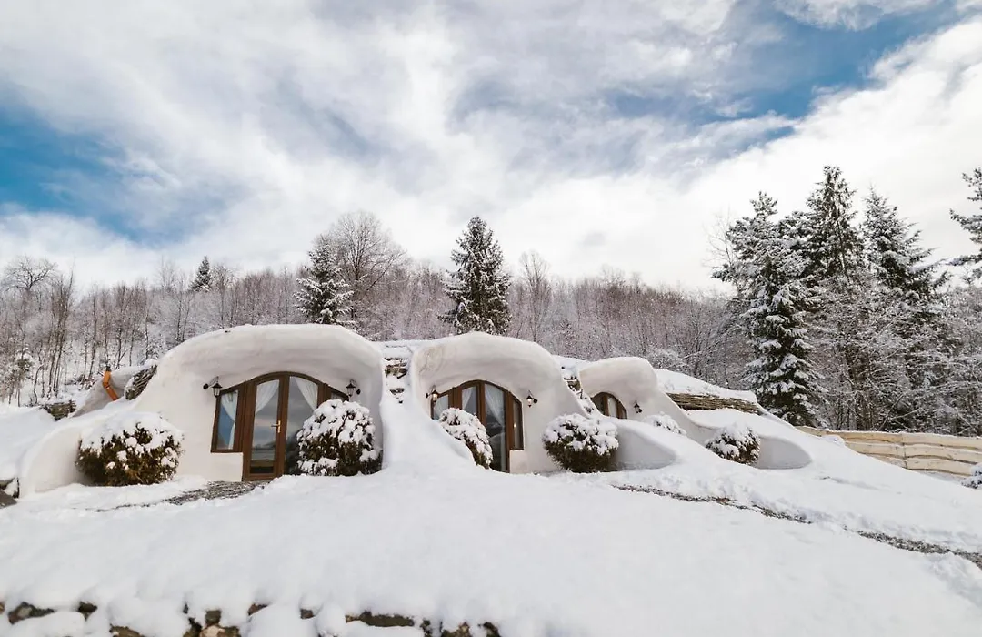Pensiunea Dealul Verde-1