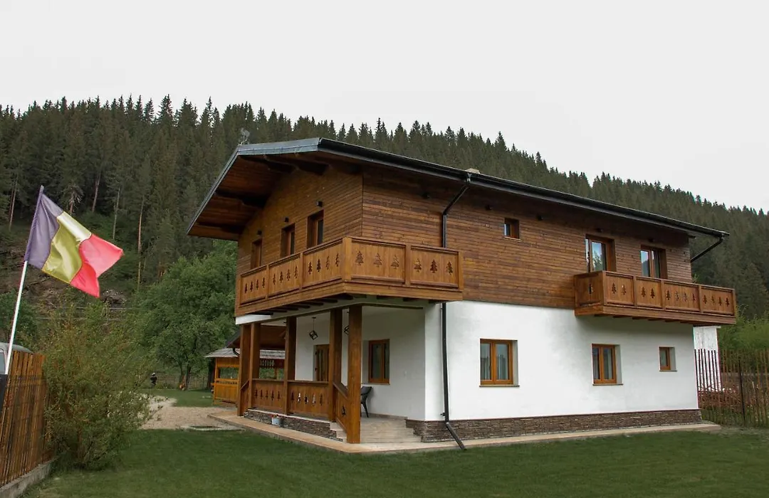 Chalet Mugure De Brad-1