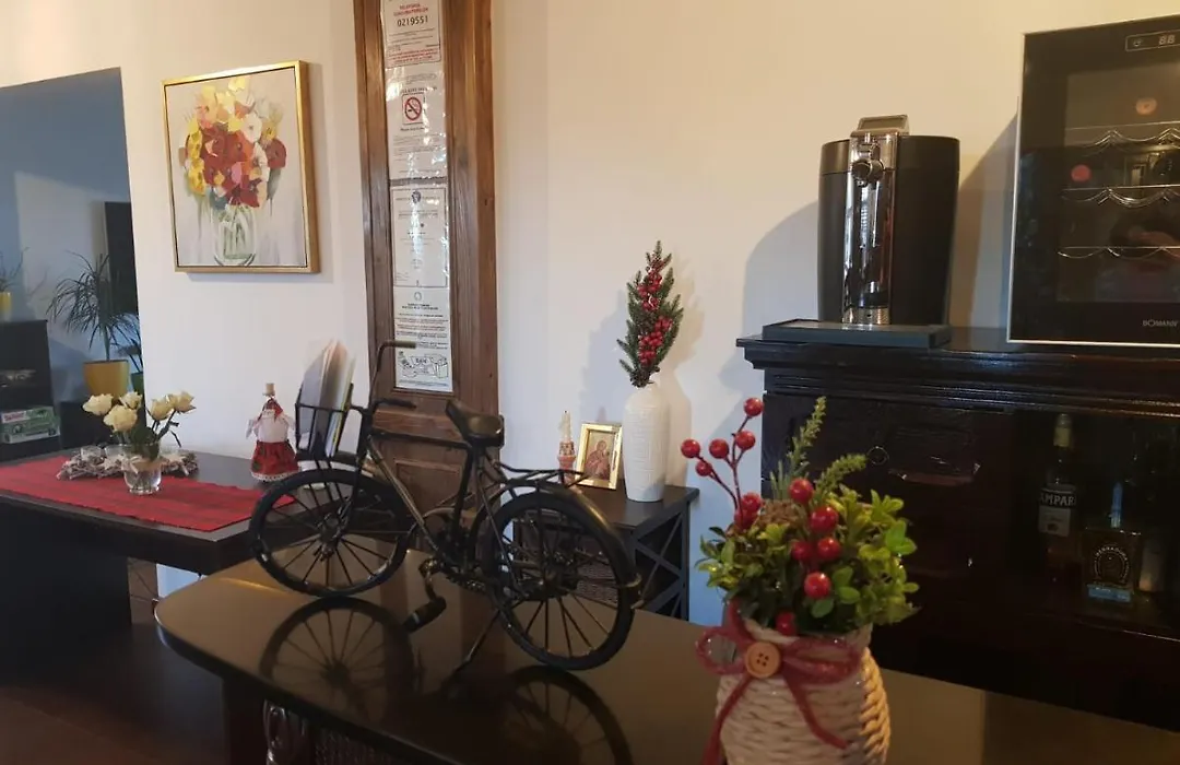 Pensiunea Casa Lupas-1