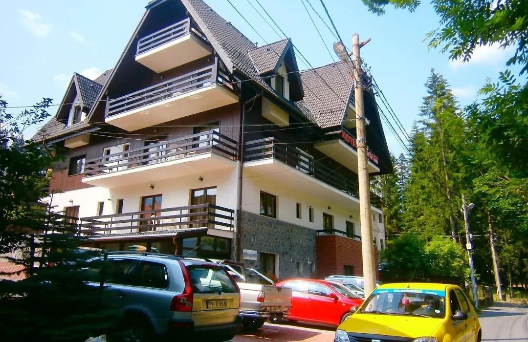 Hotel Silvia Apart Sinaia-1