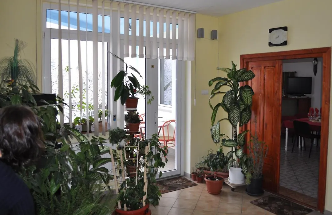 Pension Cremona-1