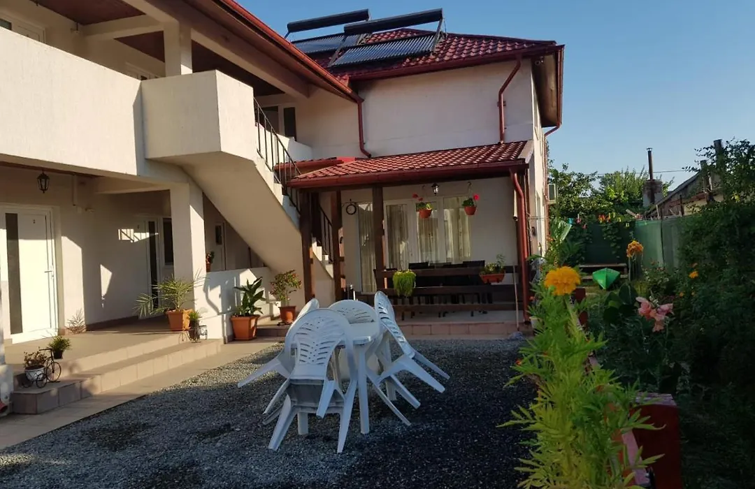 Casa Dragon-1