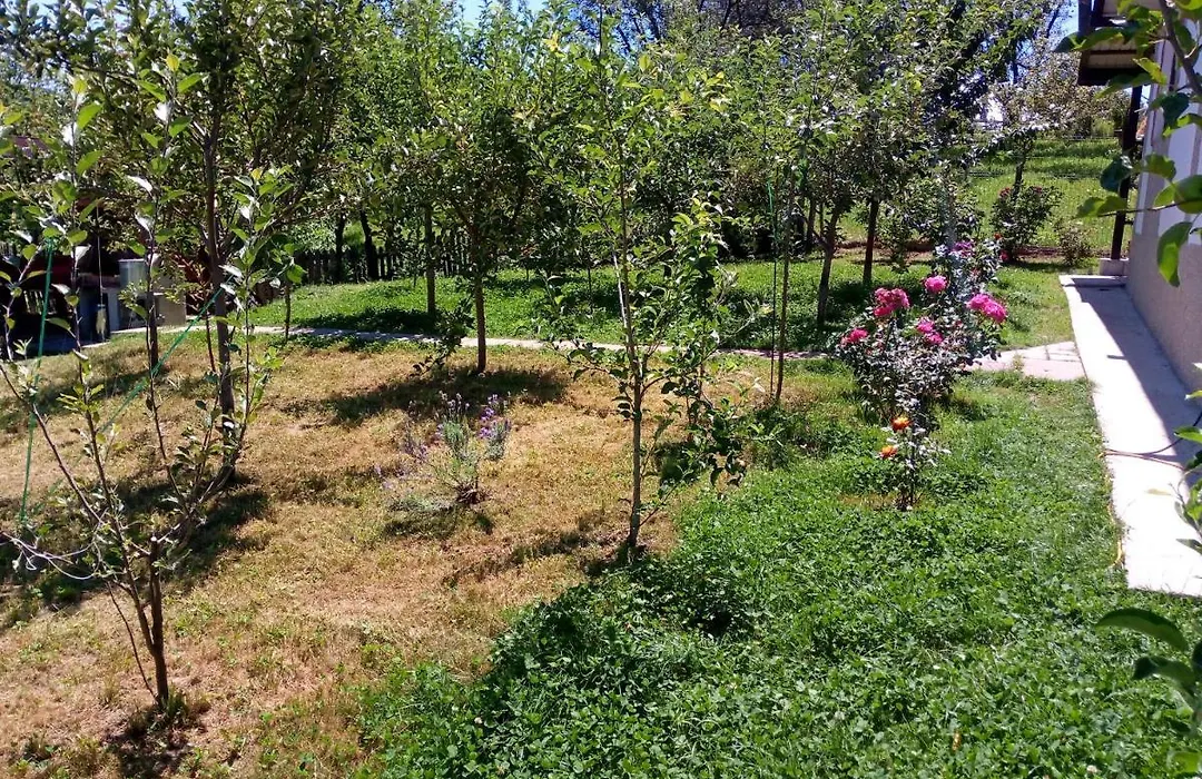 Casa Transfagarasan-1