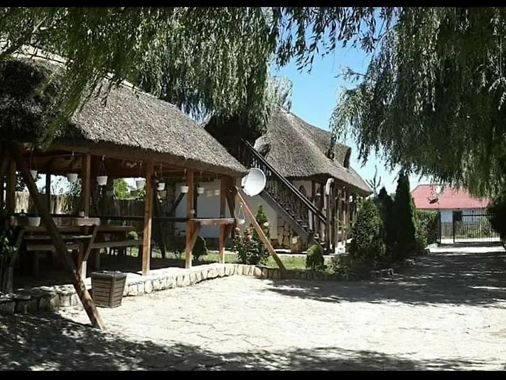 Casa cu flori Murighiol-1
