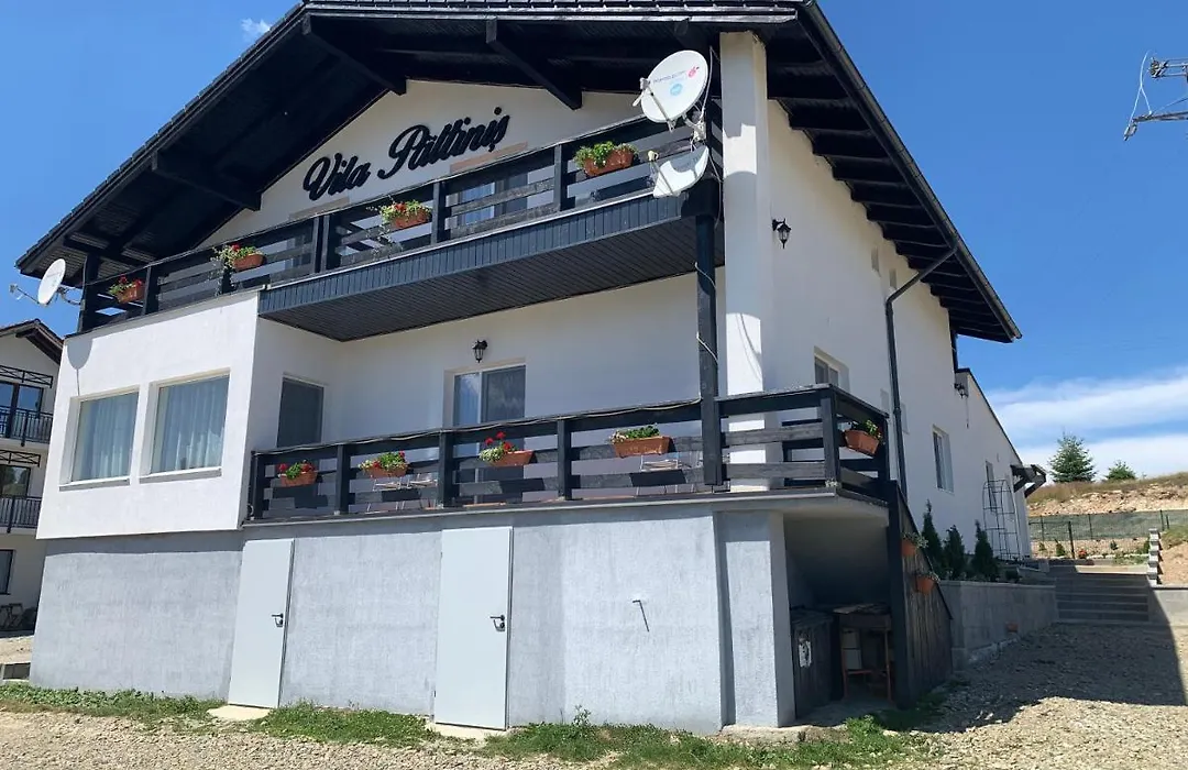 Vila Paltinis-1
