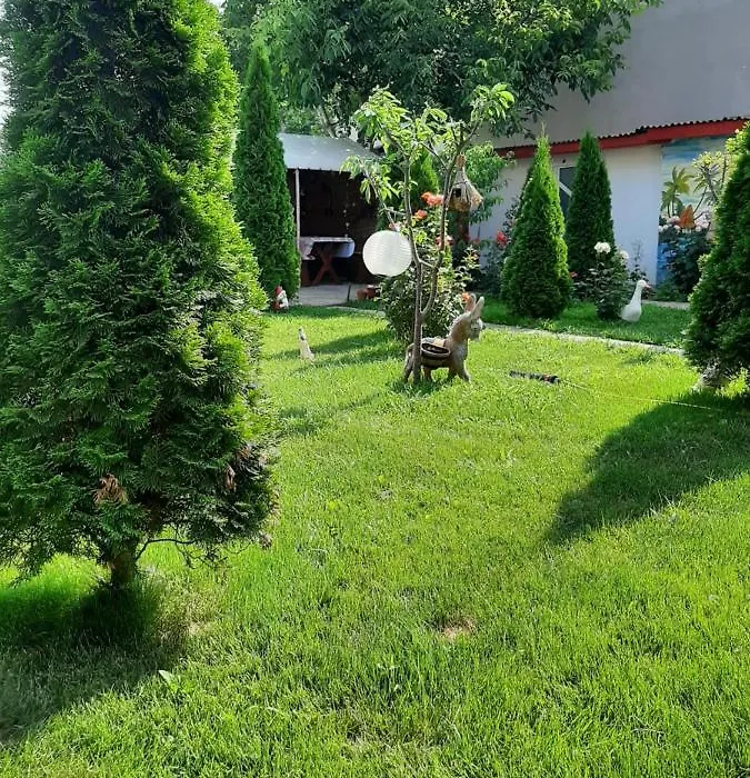 Vila Gabi-1