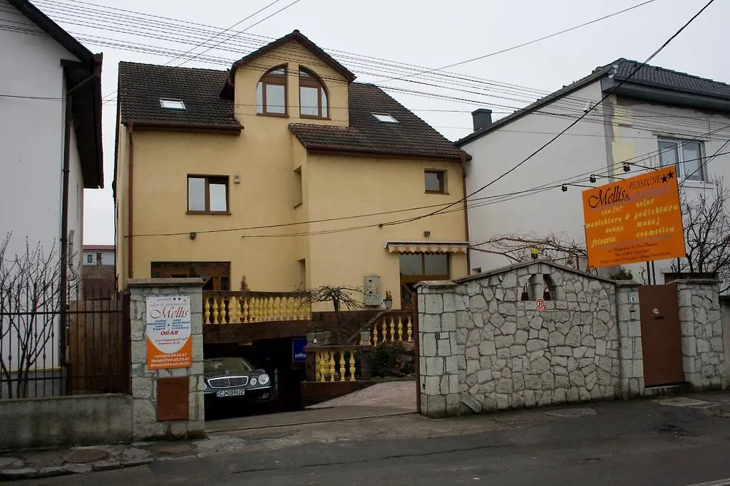 Pension Mellis Cluj Napoca-1